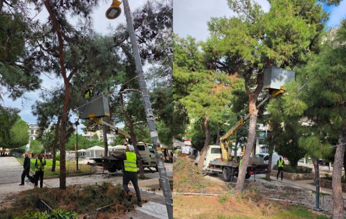 Παρέμβασεις καθαρισμού στα πεύκα της Κεντρικής Πλατείας Νέας Σμύρνης