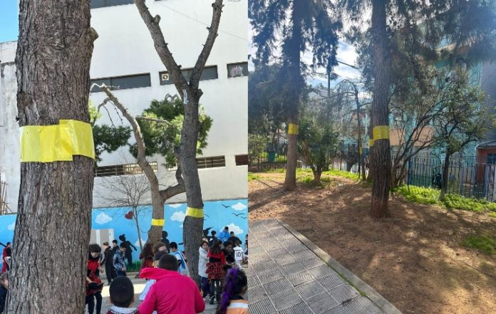 Οικολογικές παρεμβάσεις για τον περιορισμό της κάμπιας στον Δήμο