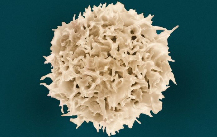 Σύγχρονες εξελίξεις στην Ογκολογία: Επιστημονική ημερίδα στην Ηλιούπολη