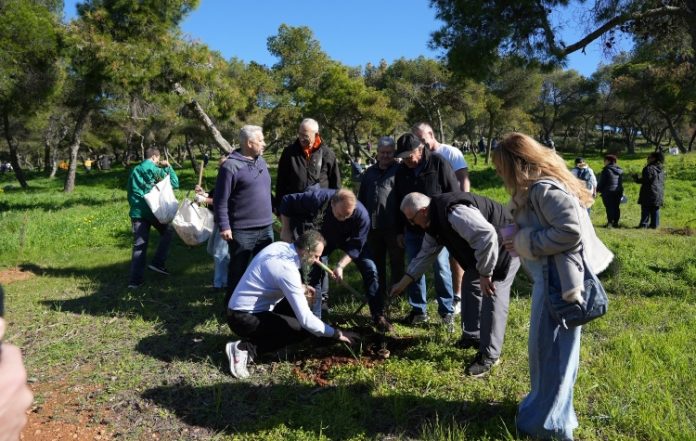 Ο Λόφος ΛΟΚ «πρασίνισε» με 1.000 νέα δέντρα