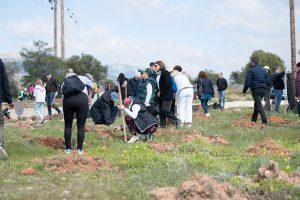 Κόρμπι Βάρης: Πλήθος συμμετοχών στην αναδάσωση της Κυριακής 8 Μαρτίου